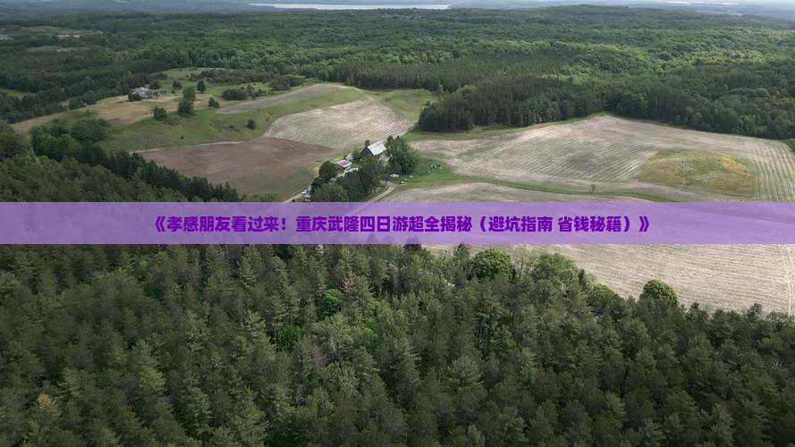 孝感到重庆武隆四日游 孝感到重庆武隆四日游