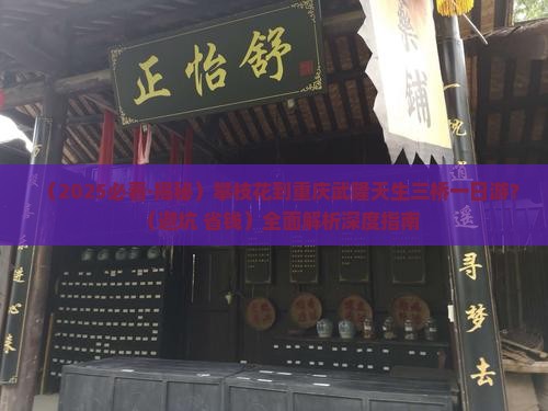 攀枝花到重庆武隆天生三桥一日