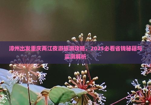 漳州去重庆两江夜游自由行