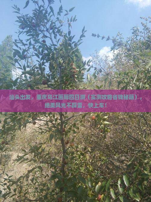 汕头去重庆乌江画廊四日游