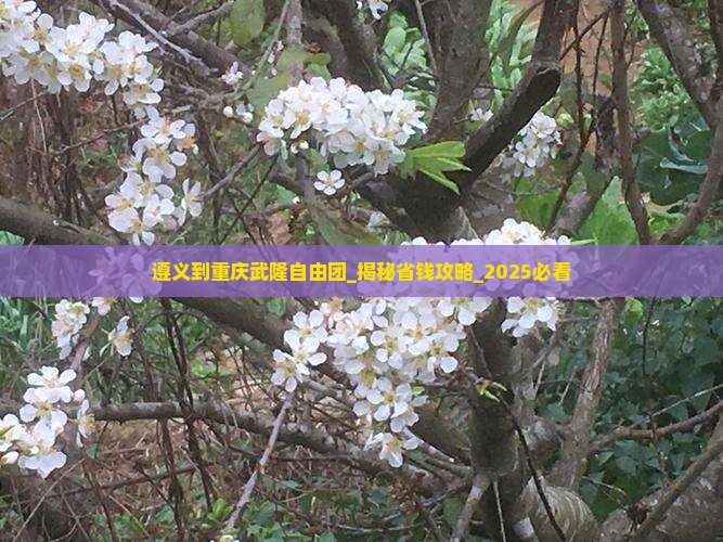 遵义到重庆武隆自由团