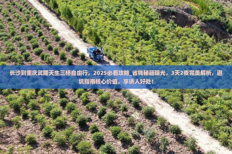 长沙到重庆武隆天生三桥自由行