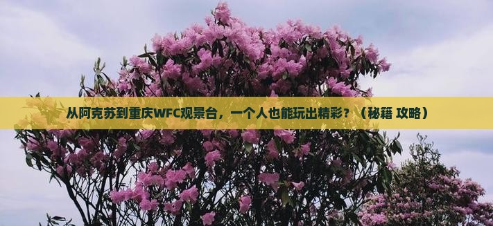 阿克苏去重庆wfc观景台个人游