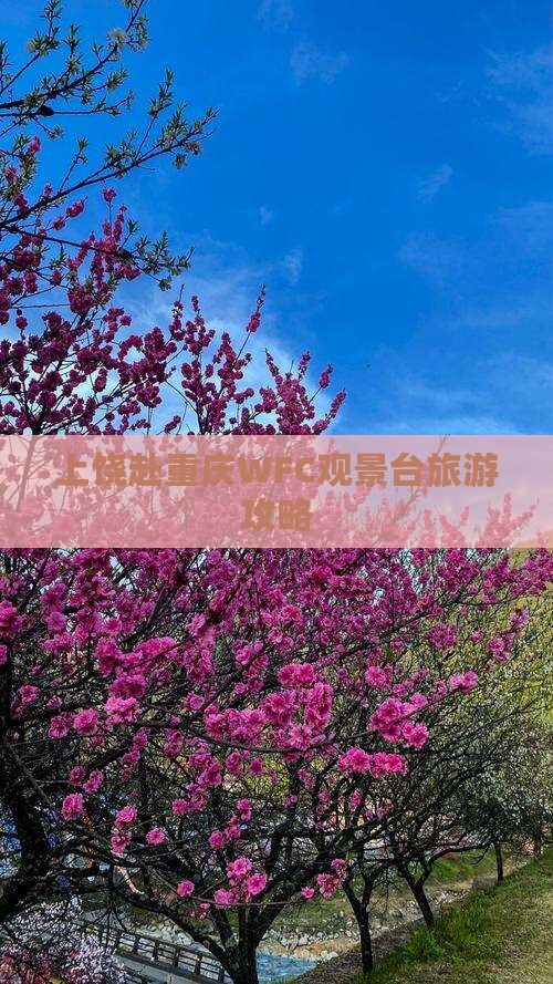 上饶去重庆wfc观景台大型旅游团 上饶去重庆wfc观景台大型旅游团
