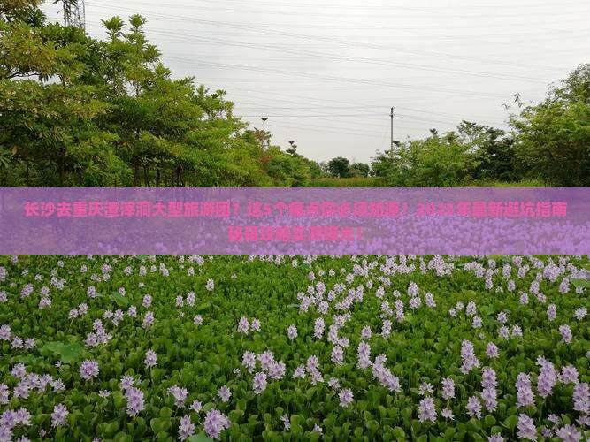 长沙去重庆渣滓洞大型旅游团