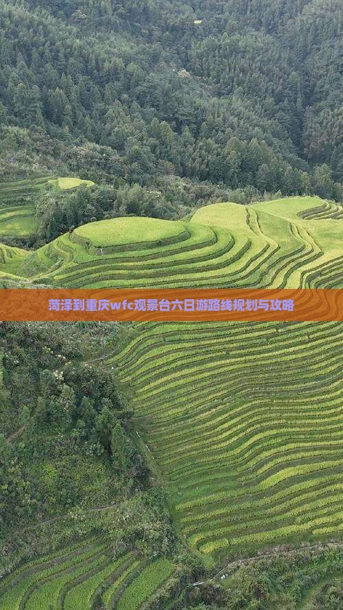 菏泽到重庆wfc观景台六日游