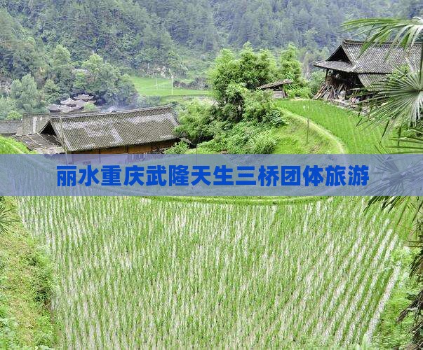 丽水去重庆武隆天生三桥团体旅游