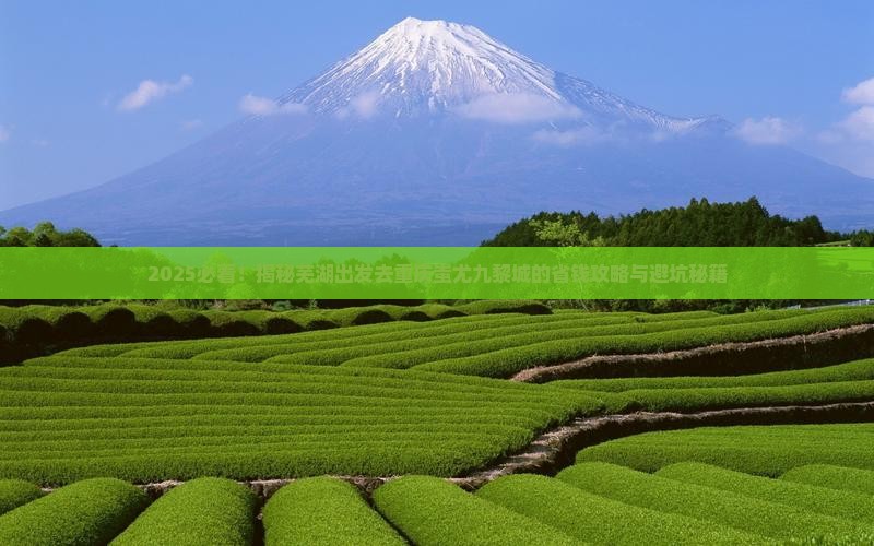 芜湖去重庆蚩尤九黎城旅行社