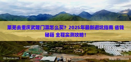 莱芜去重庆武隆门票