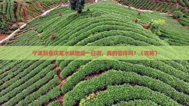 宁波到重庆龙水峡地缝一日