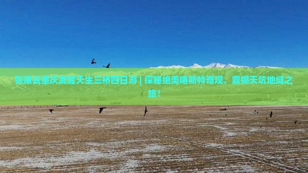 张掖去重庆武隆天生三桥四日游