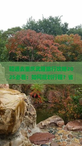 昭通去重庆武隆旅行社