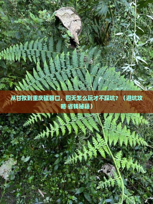 甘孜到重庆磁器口四日游