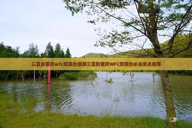 三亚去重庆wfc观景台旅游