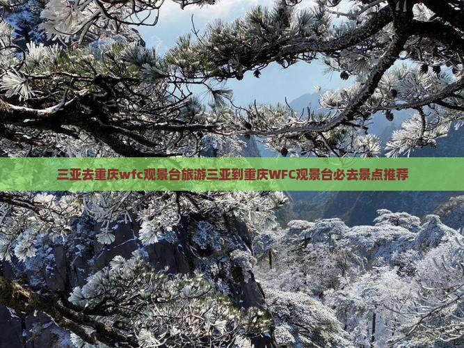 三亚去重庆wfc观景台旅游