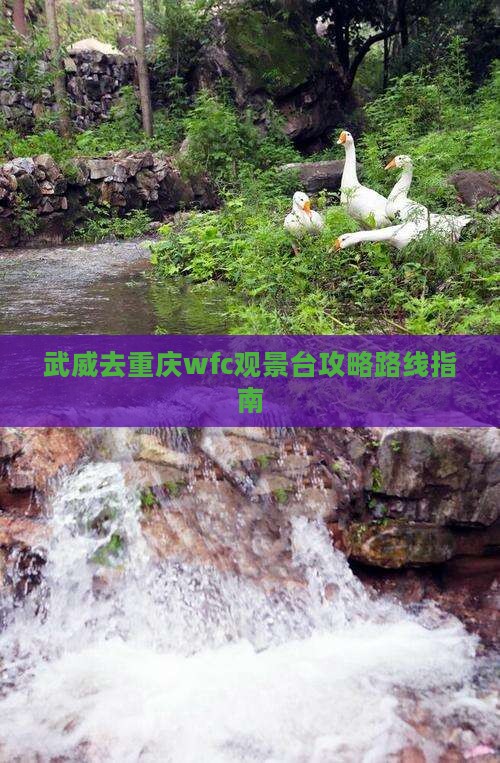 武威去重庆wfc观景台攻略
