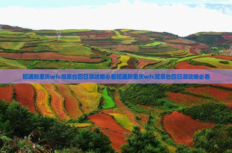 昭通到重庆wfc观景台四日游