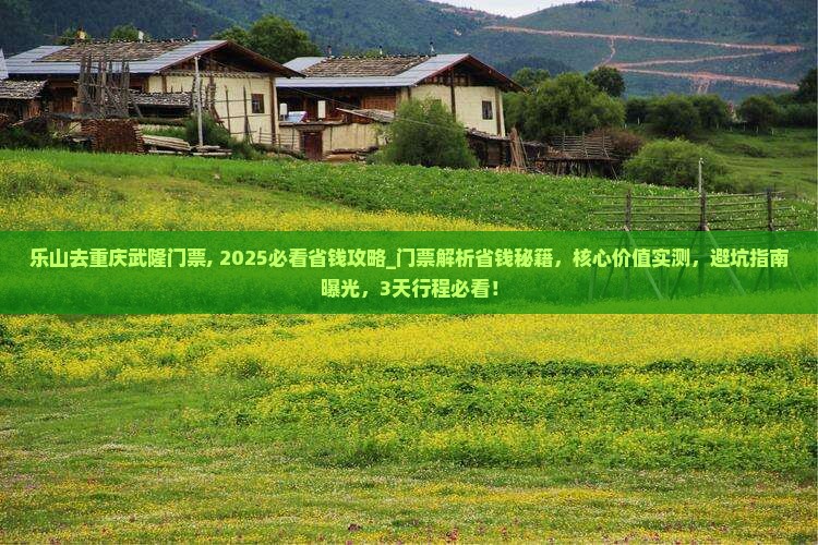 乐山去重庆武隆门票