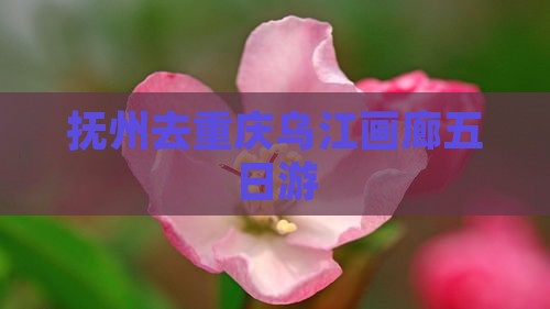 抚州去重庆乌江画廊五日游