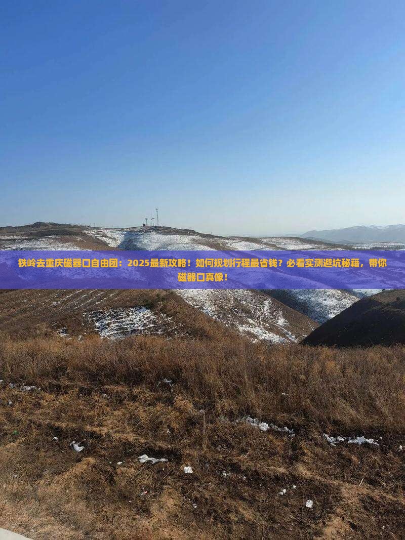 铁岭去重庆磁器口自由团