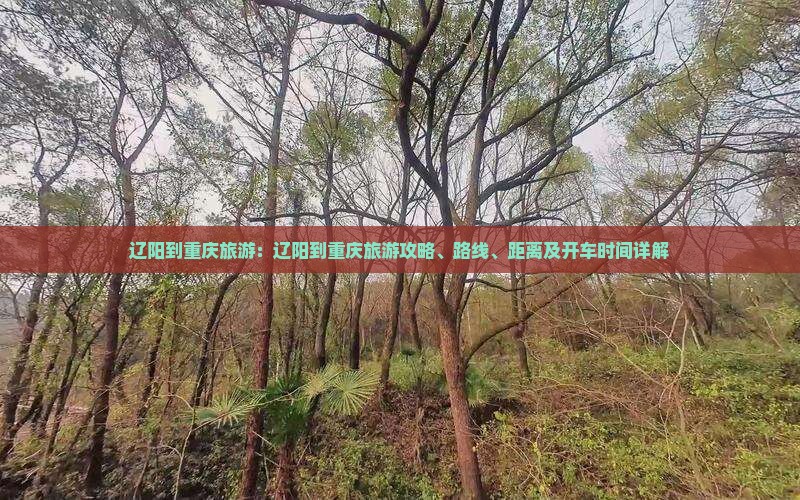 辽阳到重庆旅游
