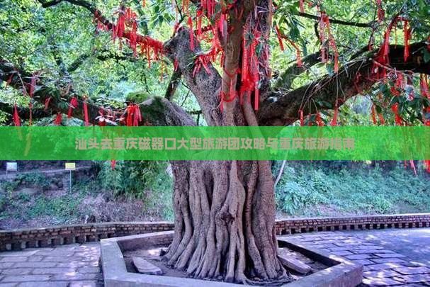 汕头去重庆磁器口大型旅游团 汕头去重庆磁器口大型旅游团