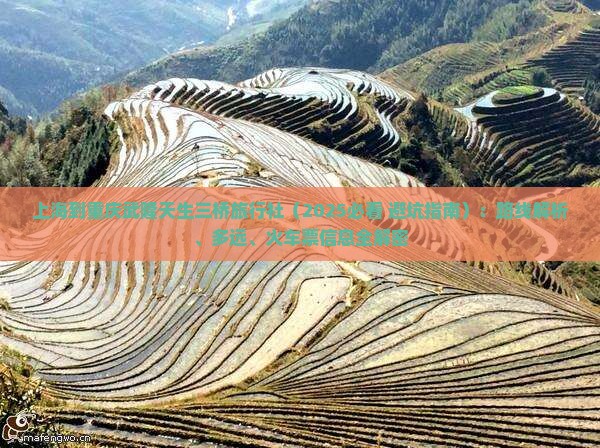 上海到重庆武隆天生三桥旅行社