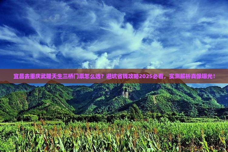 宜昌去重庆武隆天生三桥门票