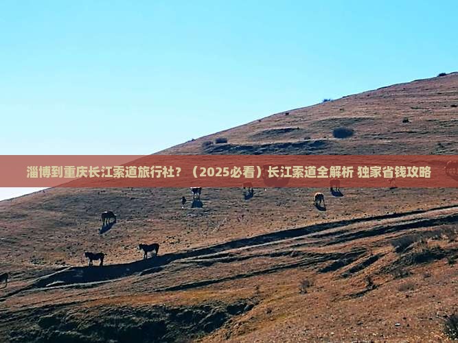 淄博到重庆长江索道旅行社
