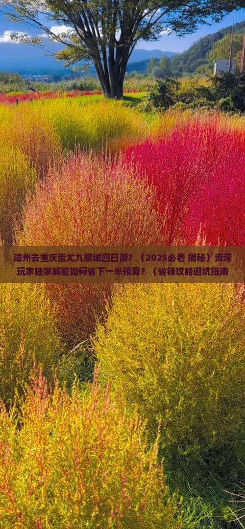 漳州去重庆蚩尤九黎城四日游