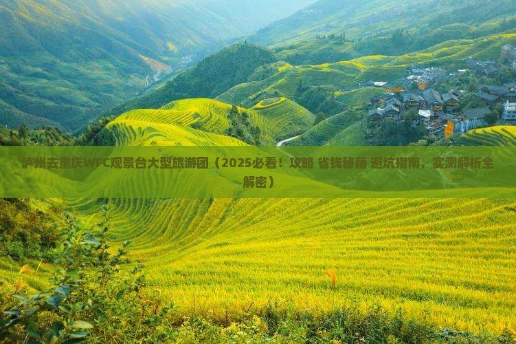 泸州去重庆wfc观景台大型旅游团