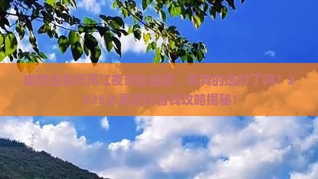 成都去重庆两江夜游自由团