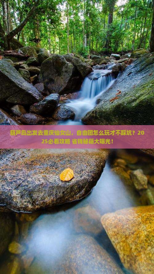 葫芦岛去重庆仙女山自由团