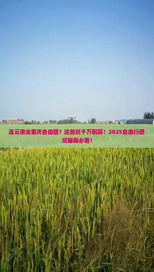连云港去重庆自由团