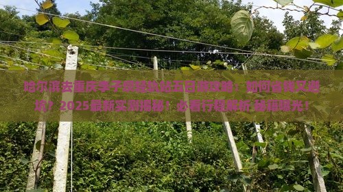 哈尔滨去重庆李子坝轻轨站五日游