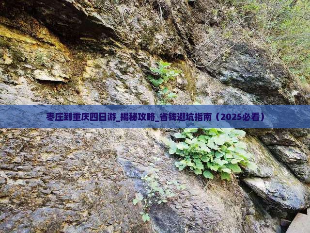 枣庄到重庆四日游
