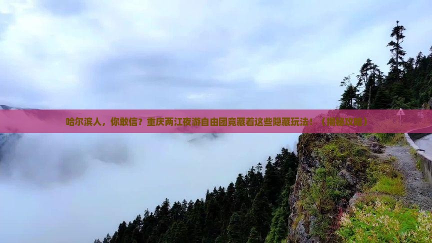 哈尔滨去重庆两江夜游自由团 哈尔滨去重庆两江夜游自由团