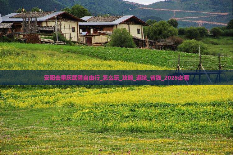 安阳去重庆武隆自由行 安阳去重庆武隆自由行