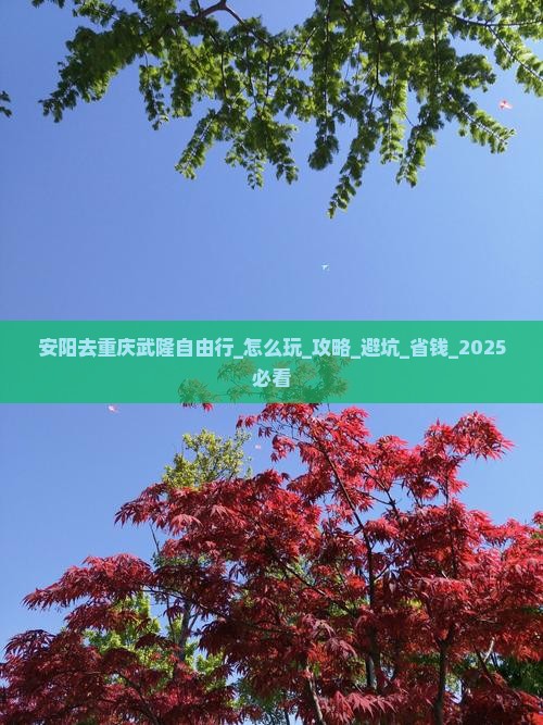 安阳去重庆武隆自由行 安阳去重庆武隆自由行
