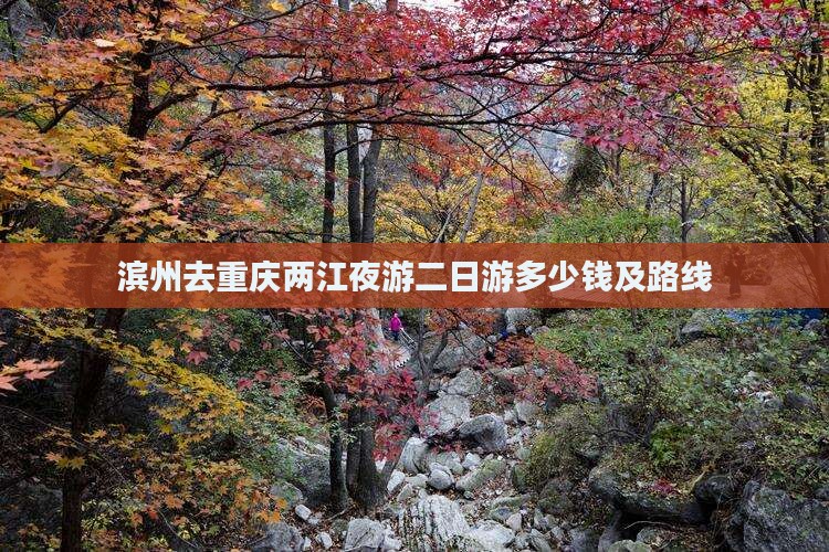 滨州去重庆两江夜游二日游 滨州去重庆两江夜游二日游