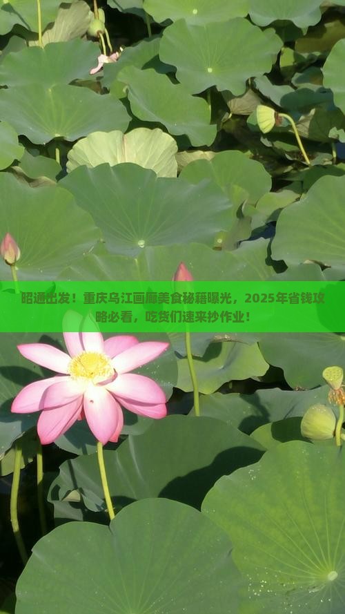 昭通去重庆乌江画廊旅游小吃