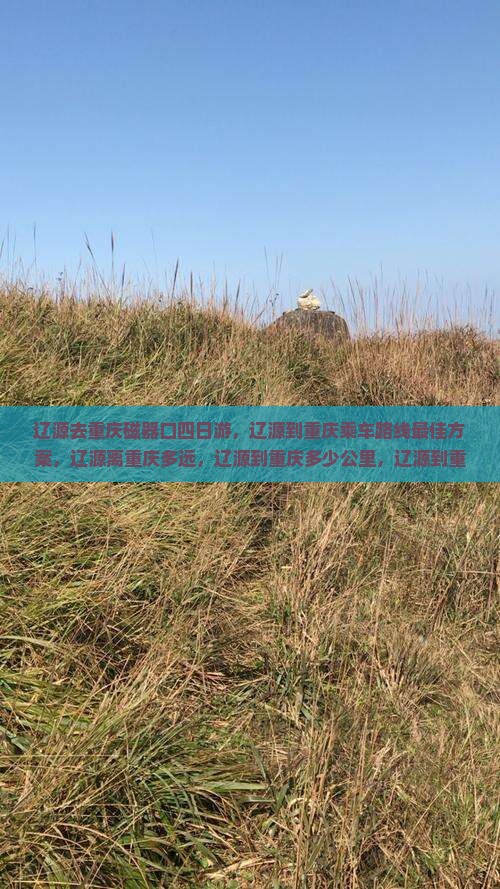辽源去重庆磁器口四日游