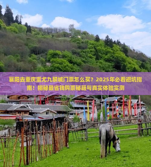 襄阳去重庆蚩尤九黎城门票