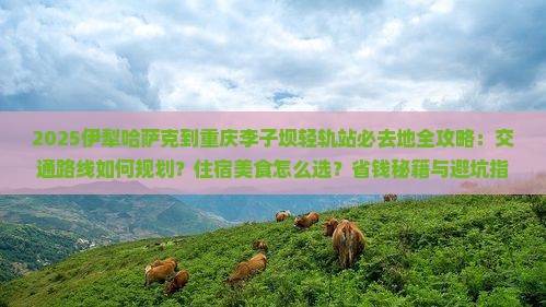 伊犁哈萨克到重庆李子坝轻轨站必去地