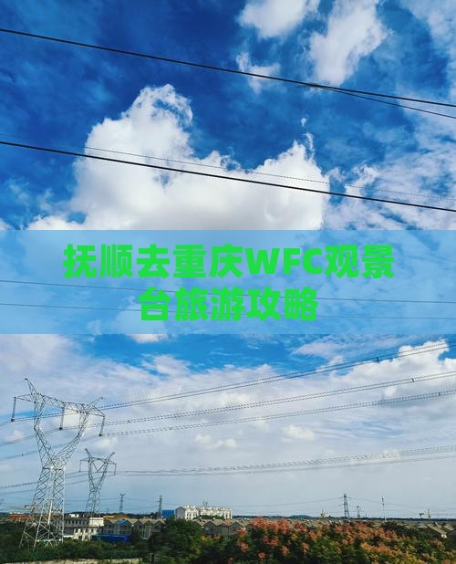 抚顺去重庆wfc观景台景点