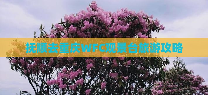 抚顺去重庆wfc观景台景点