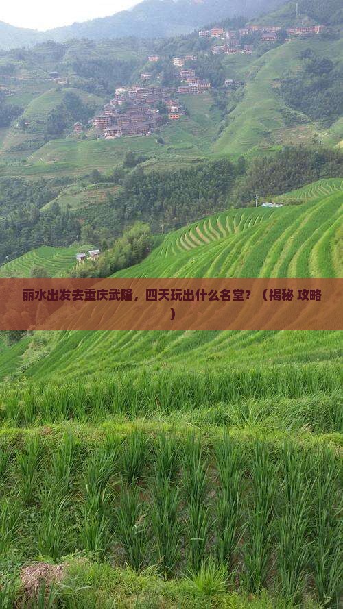 丽水去重庆武隆四日游