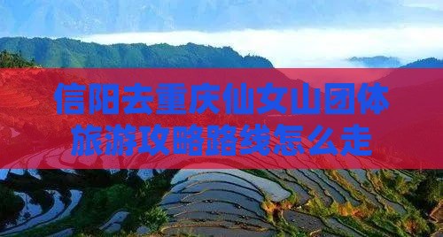 信阳去重庆仙女山团体旅游