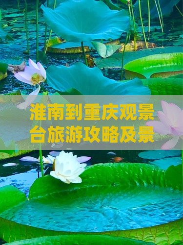 淮南到重庆wfc观景台三日游