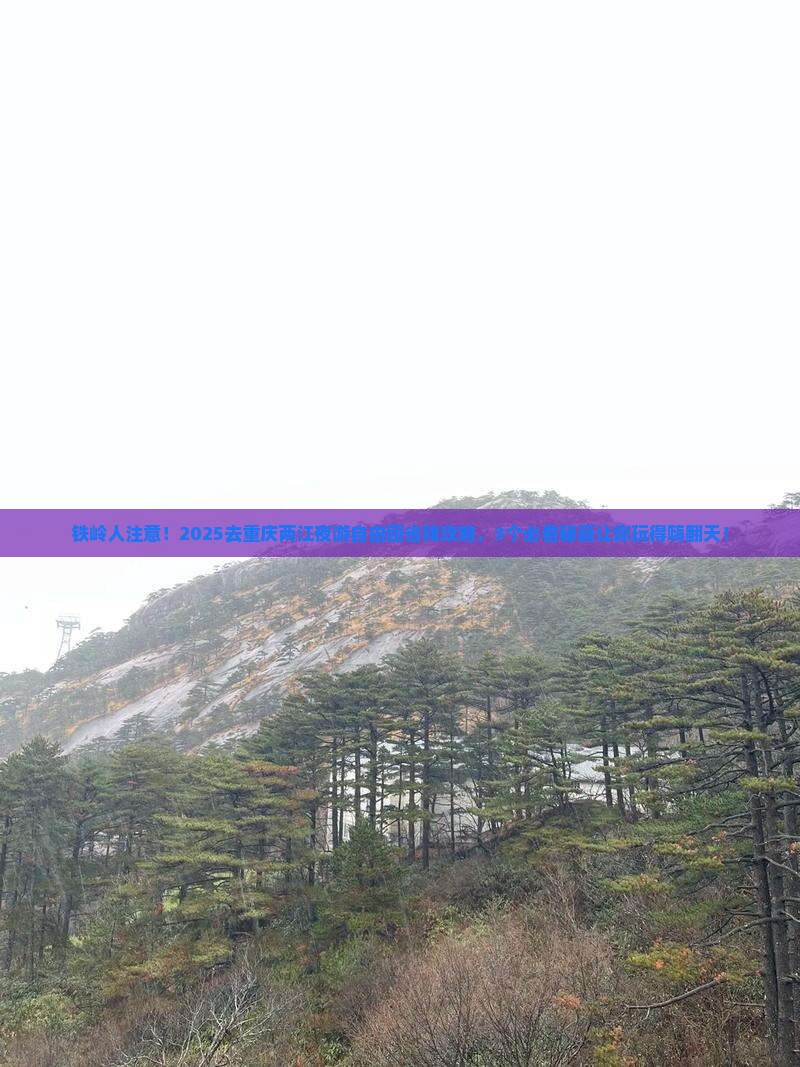 铁岭去重庆两江夜游自由团